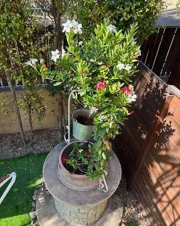 Lägenhet Rosa